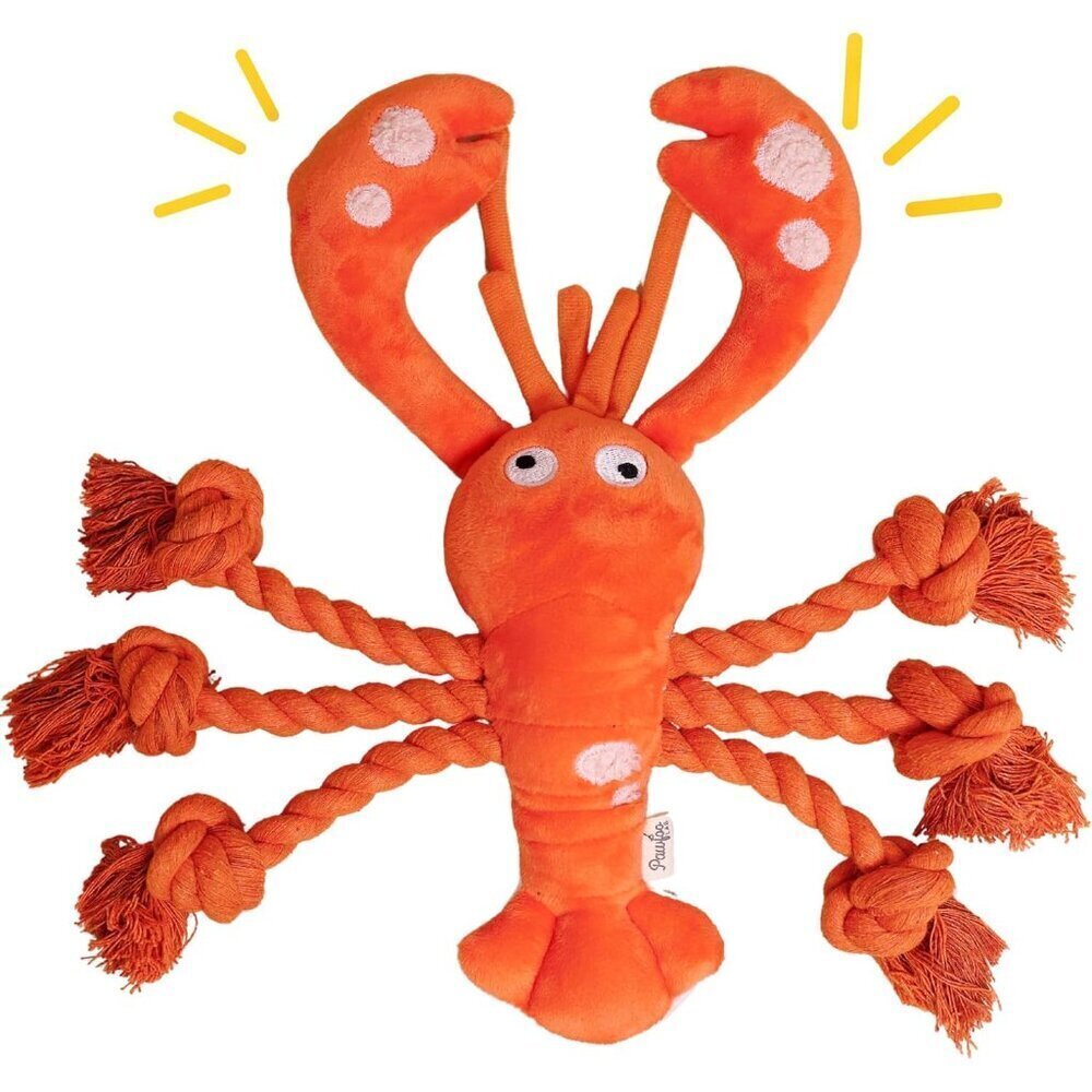 Lobster Dog Toys, Large Squeaky Rope Tug of War Dog Toys for Puppy, Small, Mediu